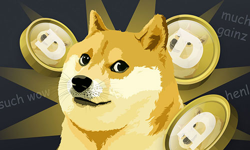 Is DOGE a Good Investment?