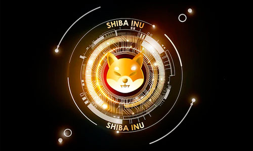 Who Owns the Most Shiba Inu Coin?