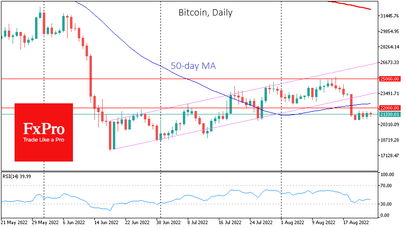 Crypto market's fragile stability