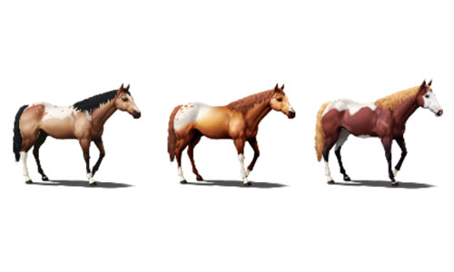 Win NFT Horse