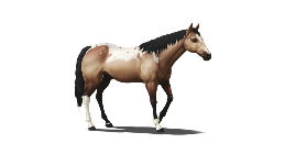 WIN NFT HORSE