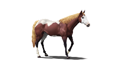 WIN NFT HORSE